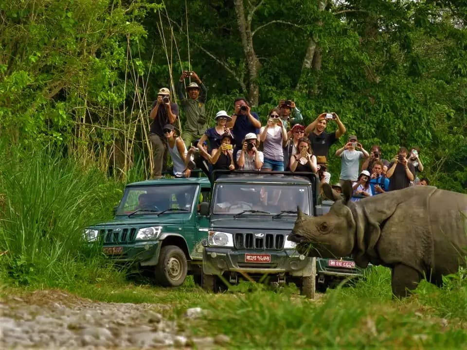 Chitwan Jungle Safari Gallery gallery 1